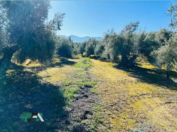 Terrenos y solares en venta en Úbeda