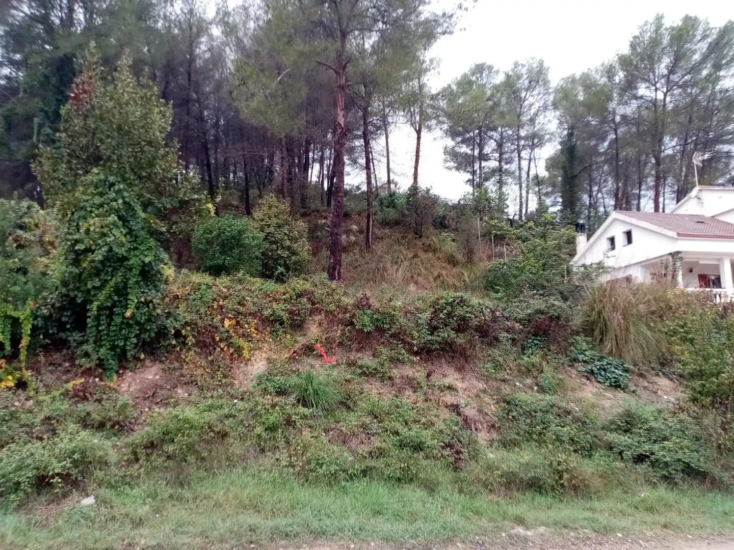 Terrain rustique à vendre à Puig Moltó - Can Macià, imagen 6