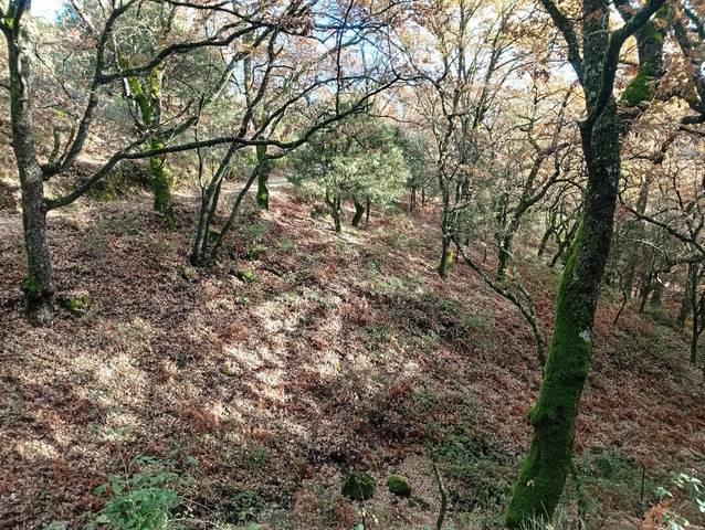 Terreno en Venta en Villanueva de la Vera