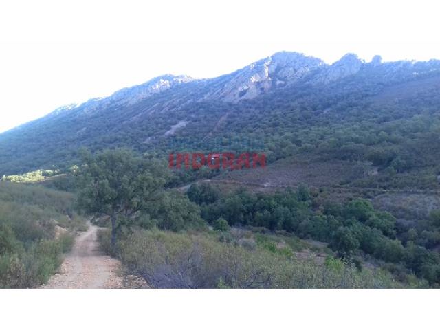 Casa-chalet en Venta en Castañar de Ibor