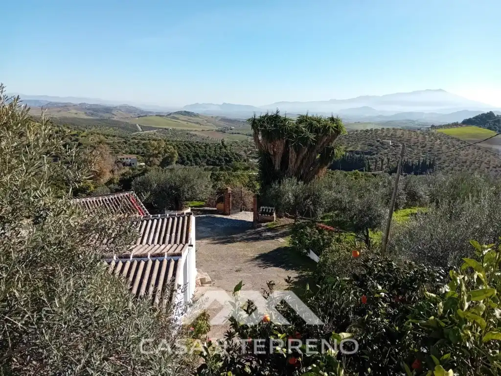 Jardí de Casa o xalet en venda en Alozaina amb Piscina
