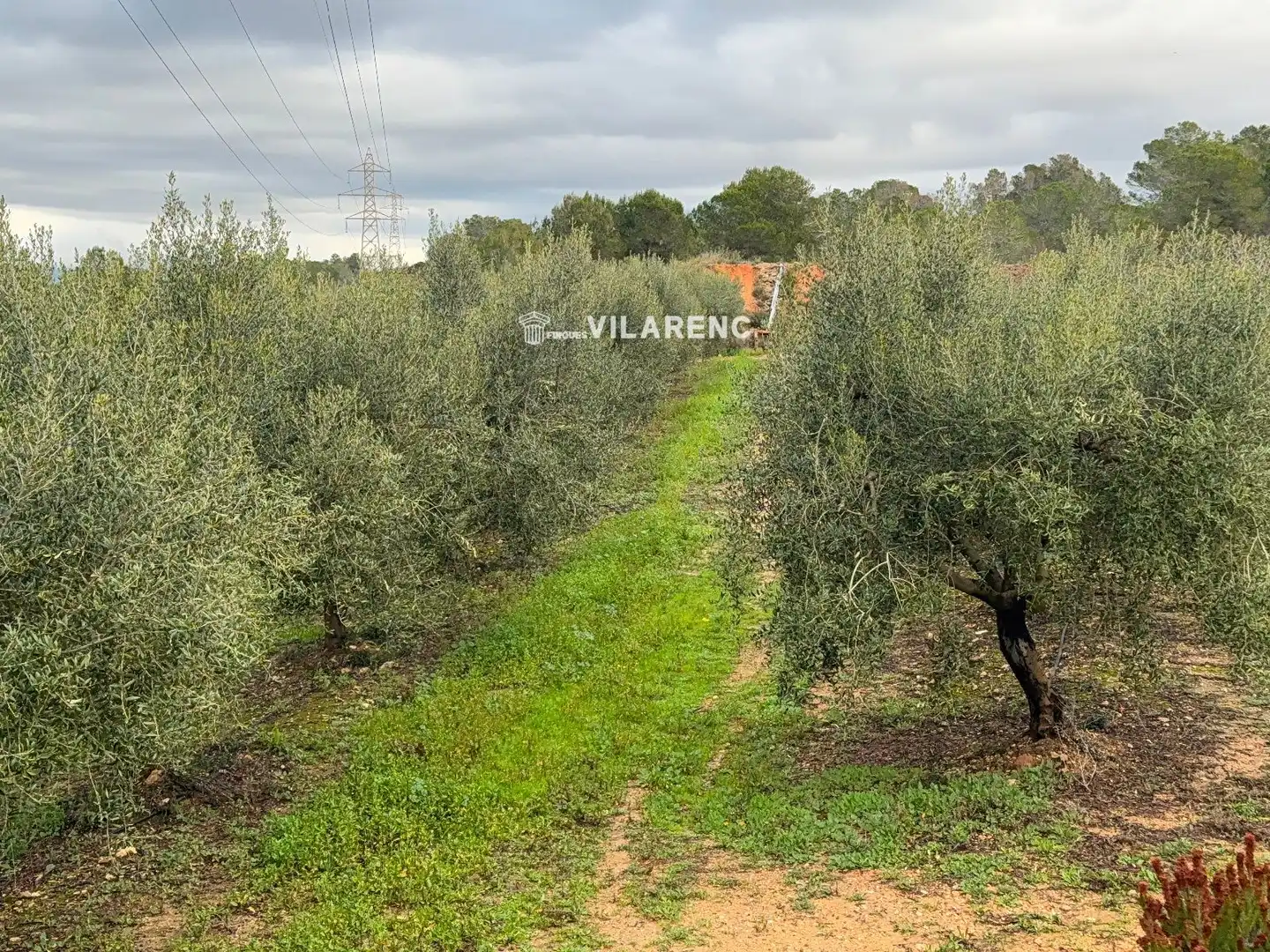 Terrain rustique à vendre à Vallmoll, imagen 17
