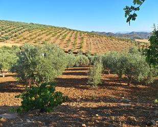 Jardí de Casa o xalet en venda en Casabermeja amb Terrassa