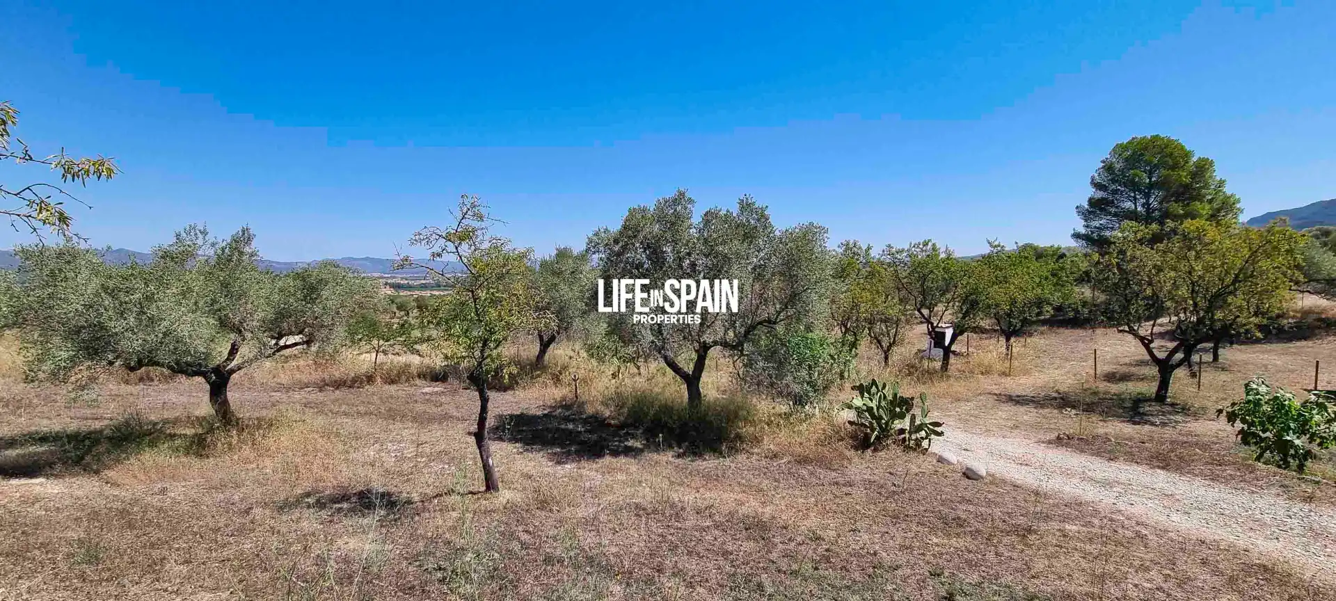Casa o chalet en venta en Ginestar con Calefacción, Jardín privado y Terraza