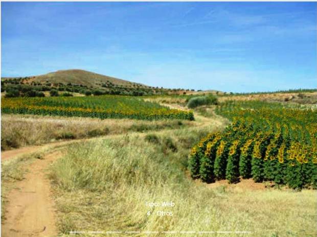 Terreno en Venta en Cañizar