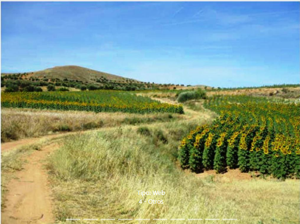 Land for sale in Cañizar