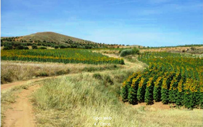 Terreny en venda a Cañizar