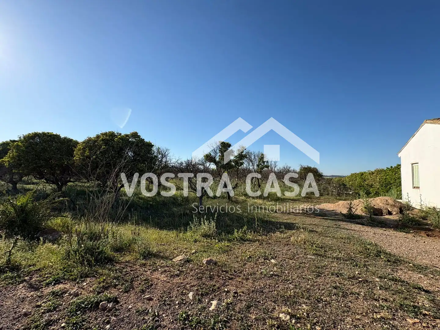 Land for sale in Chiva