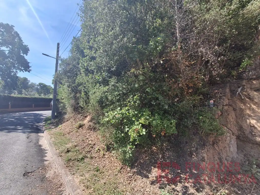 Terreno residencial en venta en Carrer Alzina Surera, imagen 3