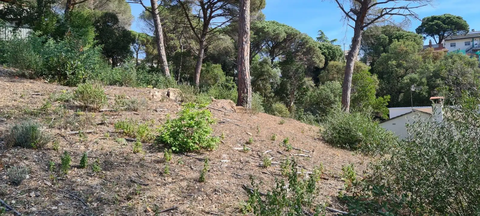 Residential land for sale in Carrer Congost, imagen 15