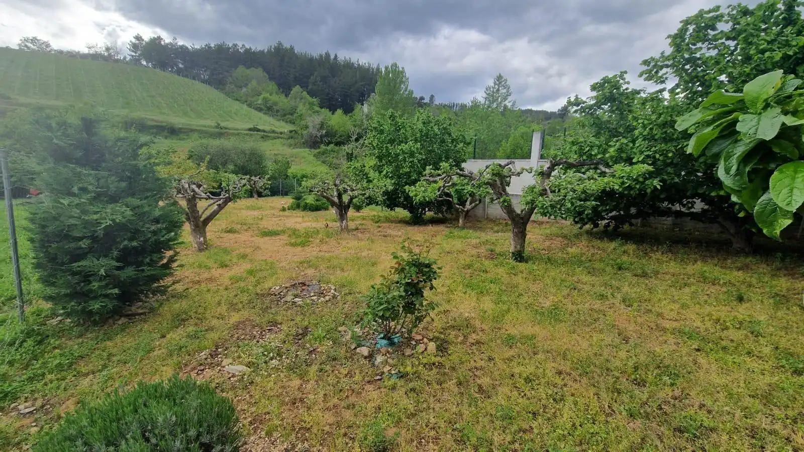Terreni e lotti in vendita a Arganza, imagen 10