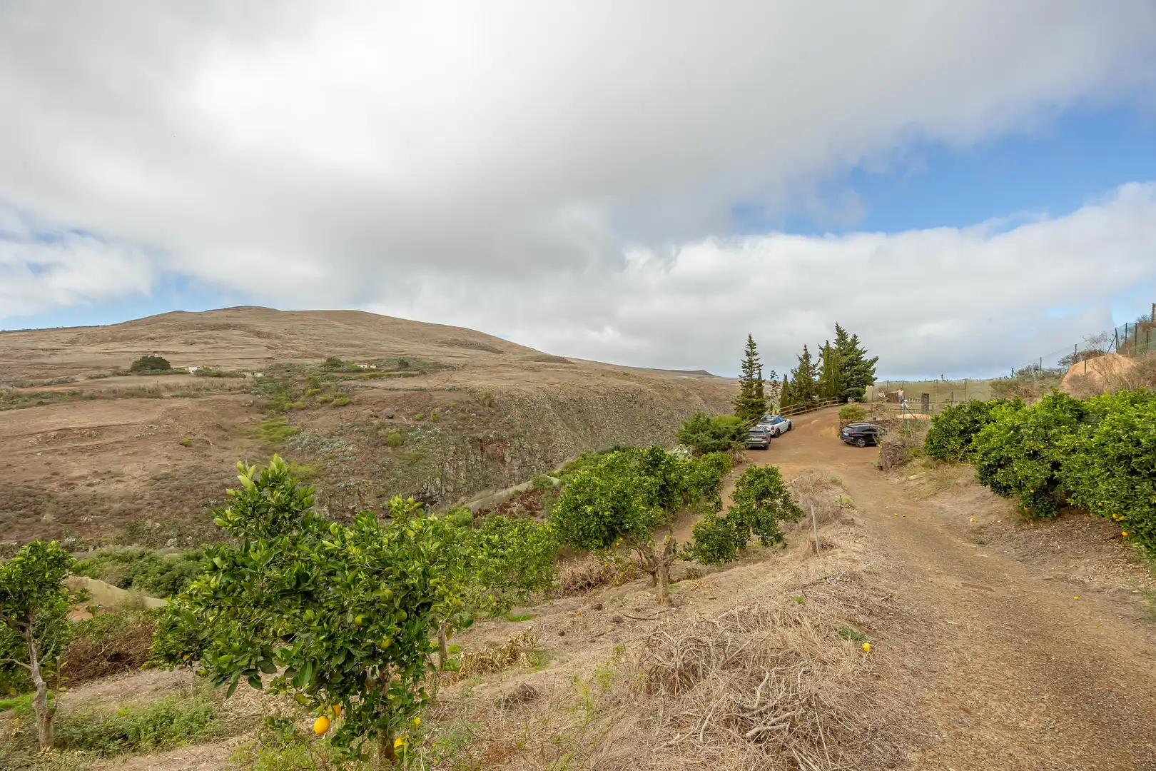 Residencial en venta en Lugar Lomo del Poleo, Saucillo - Fagajesto - Juncalillo
