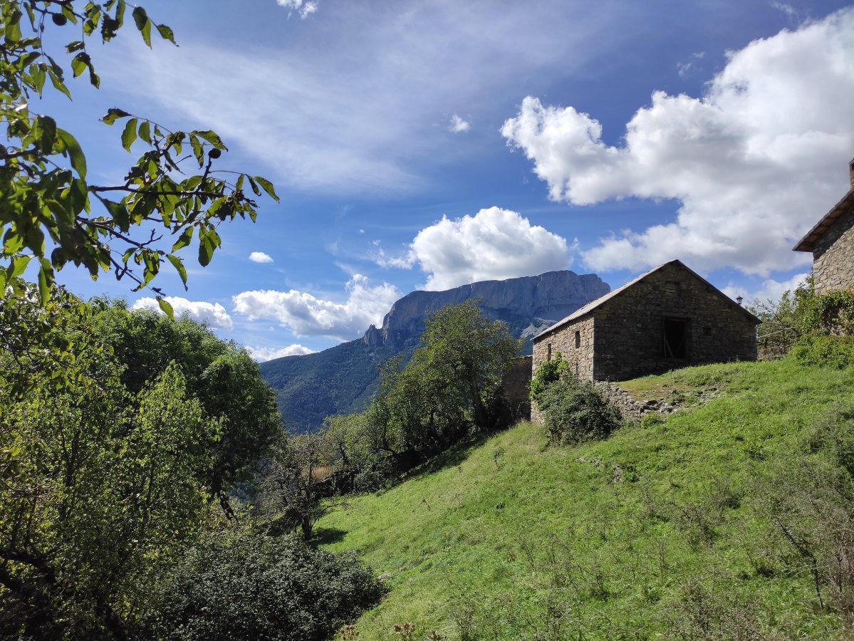 Vista exterior de Finca rústica en venda en Tella-Sin