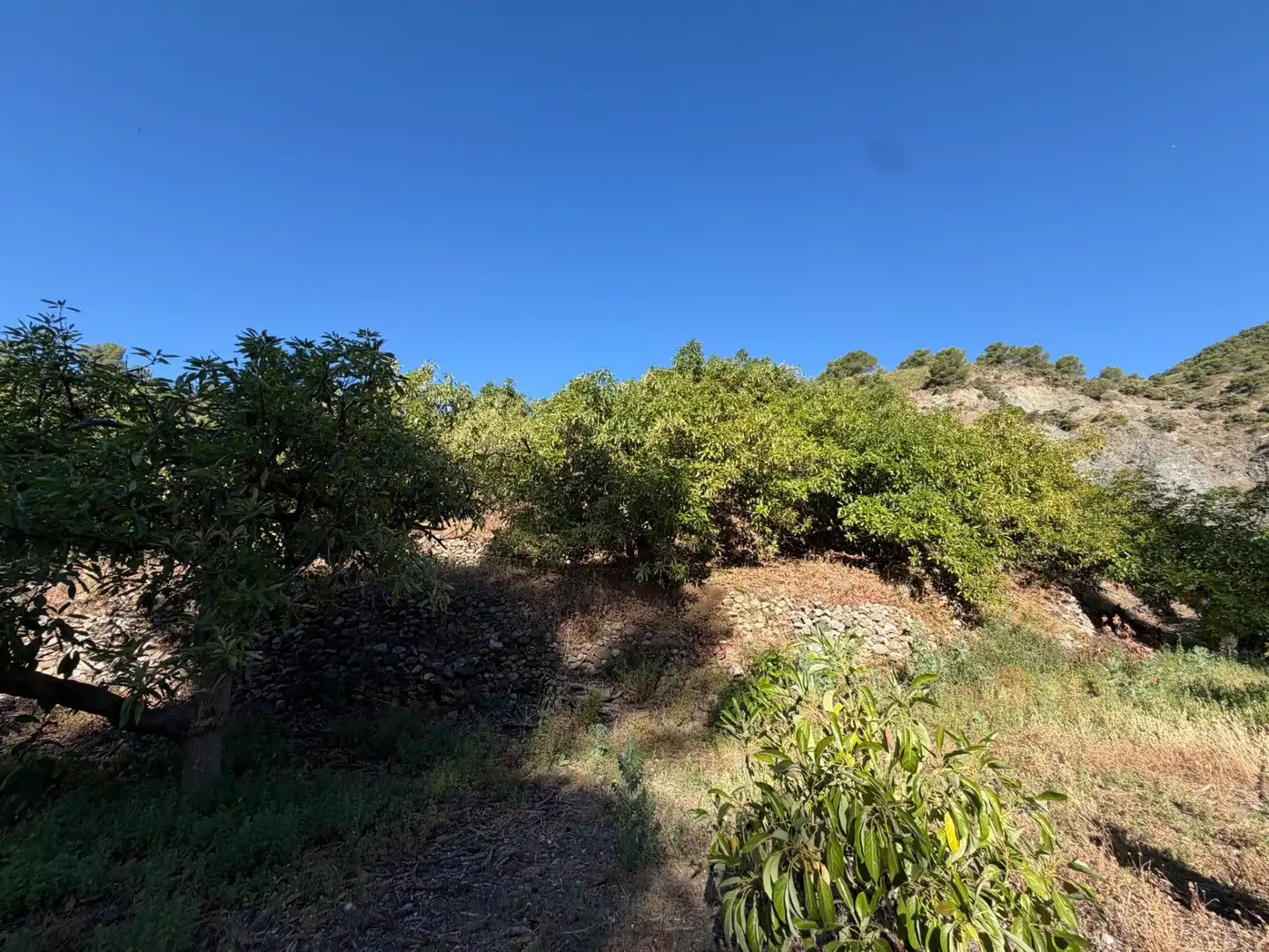 Finca rústica en venta en Yunquera con Jardín privado, Piscina y Amueblado