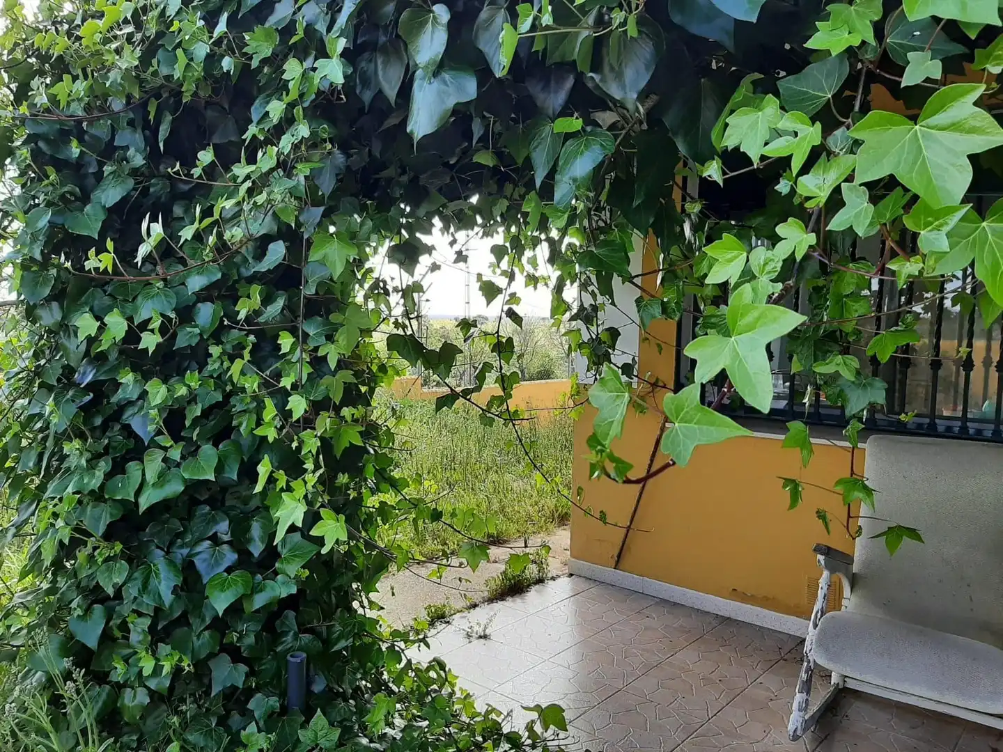 Garden of Houses for sale in Ceclavín  with Air Conditioner, Heating and Private garden
