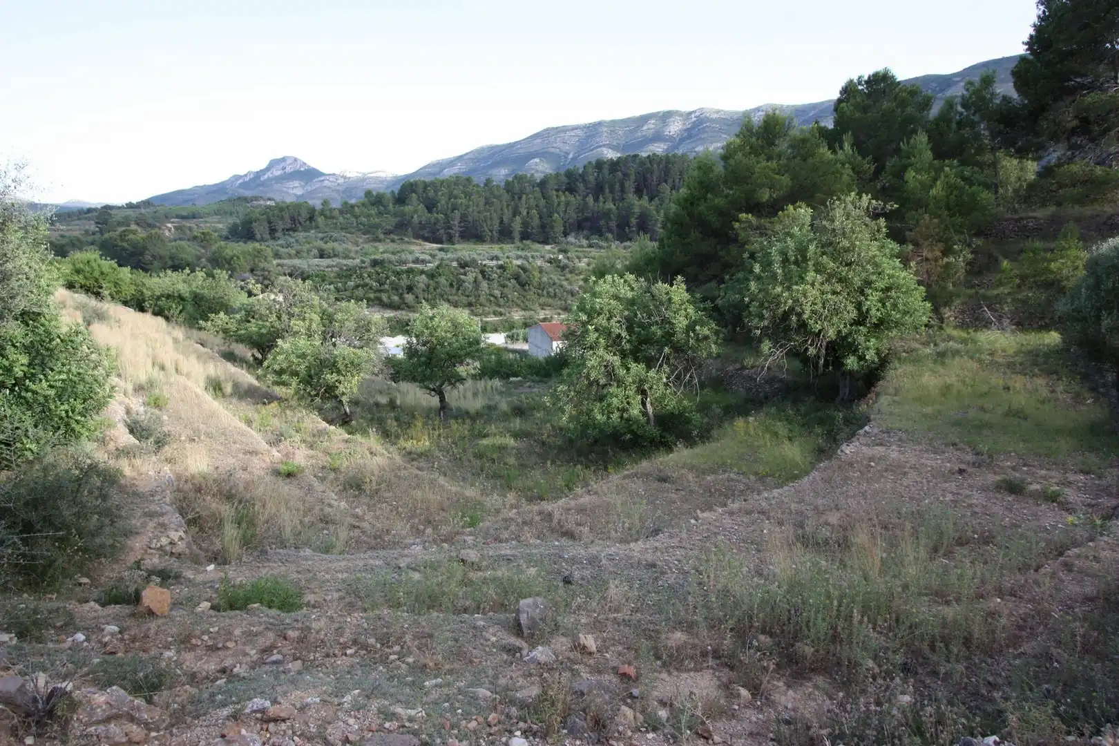 Maison rustique à vendre à Murla, imagen 15