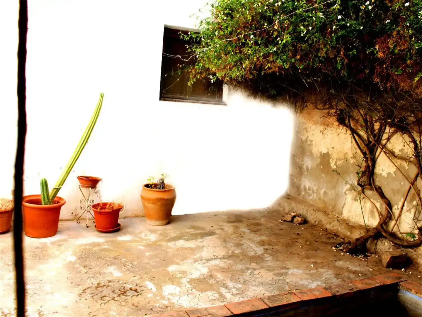 Jardí de Finca rústica en venda en Monforte del Cid amb Piscina