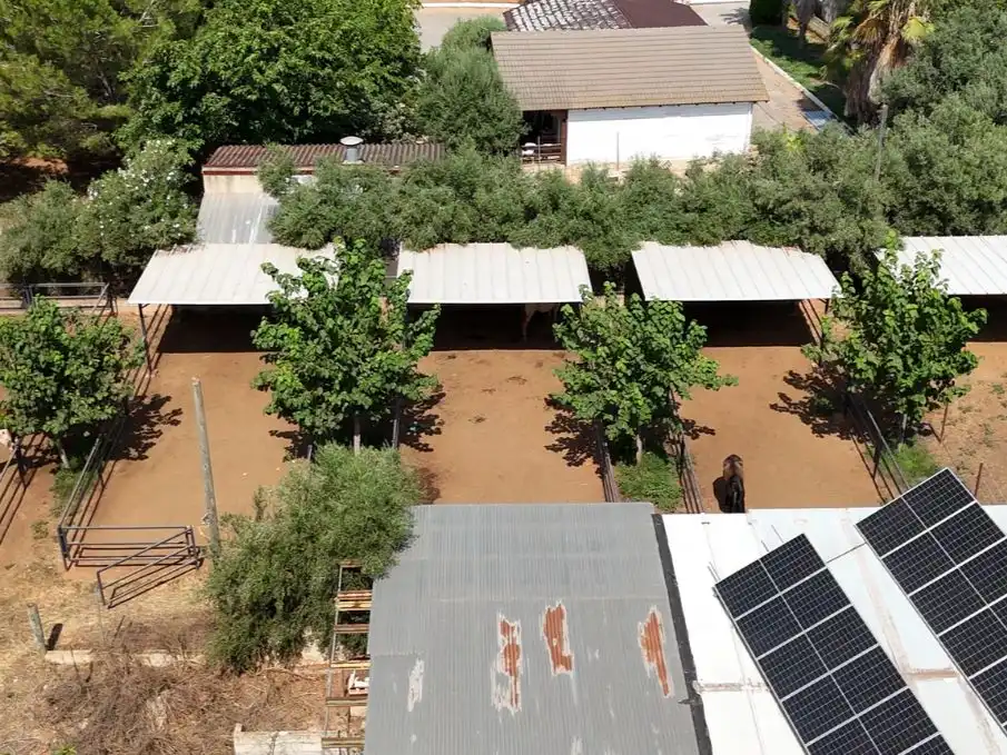 Maison rustique avec jardin à vendre à Carrer Major 1, imagen 16