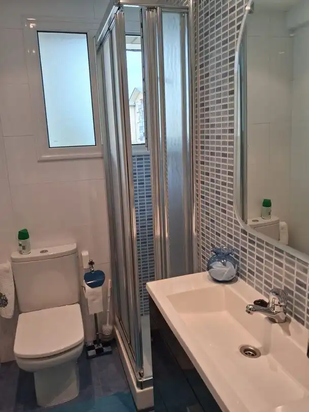 Badezimmer von Wohnung zur Miete in Sopela