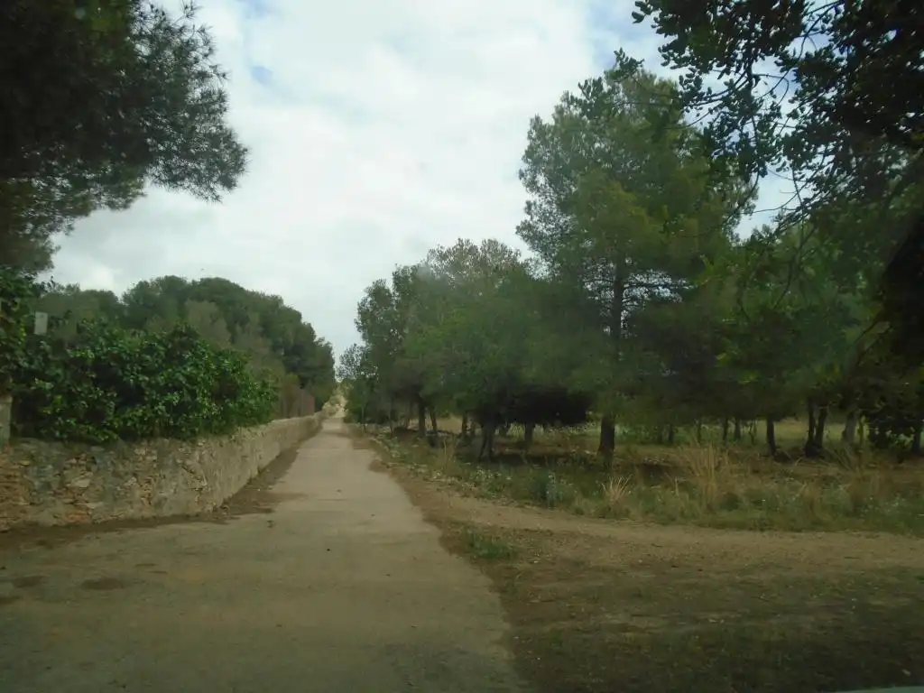 Rustikales Grundstück zum Verkauf in Paraje del Moro, imagen 17