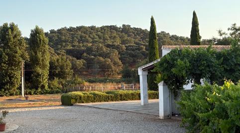 Photo 4 of Country homes for sale in Constantina, Sevilla