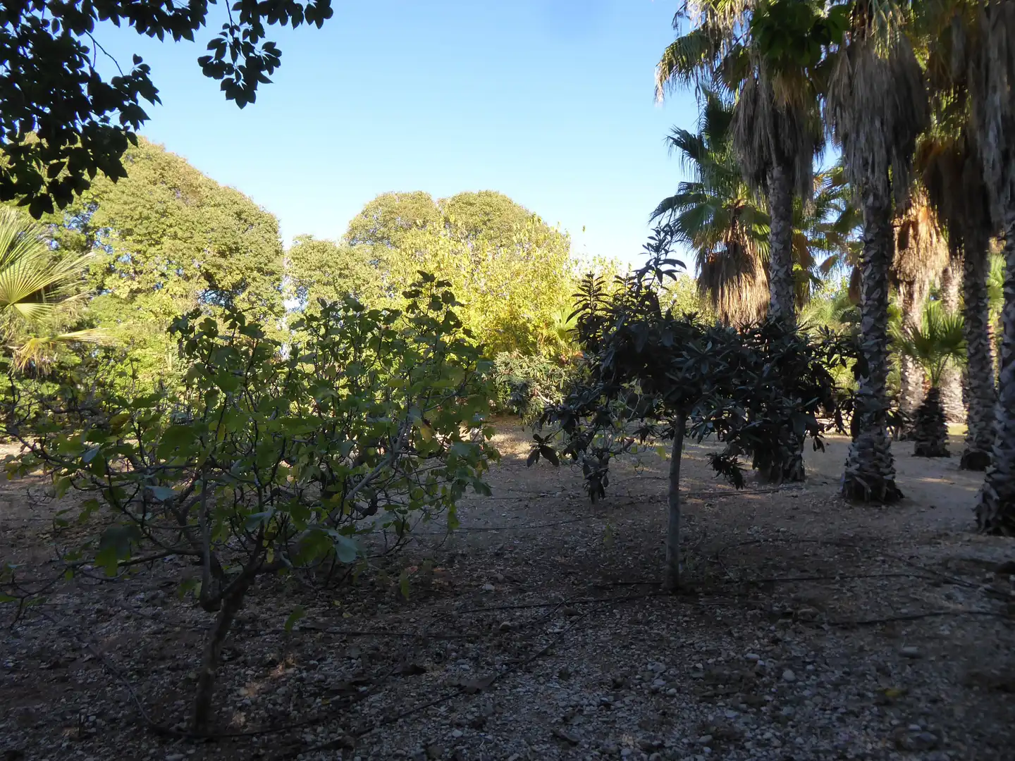 Casa o xalet en venda en Beniarbeig