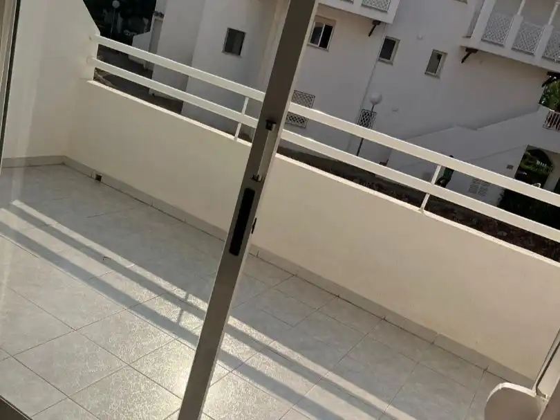 Apartment with pool for sale in Avenida Blasco Ibañez 20, imagen 4