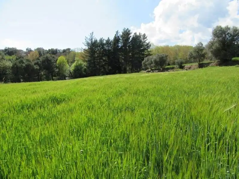 Country homes for sale in Fogars de Montclús  with Private garden and Storage room