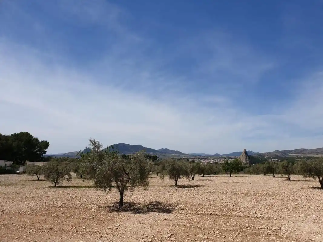 Residential land for sale in Sax