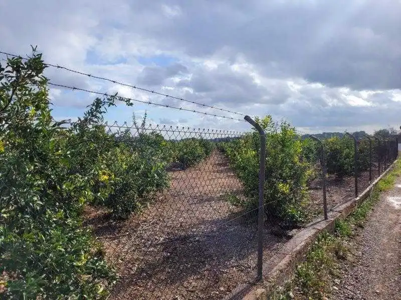 Terreno en venta en Náquera