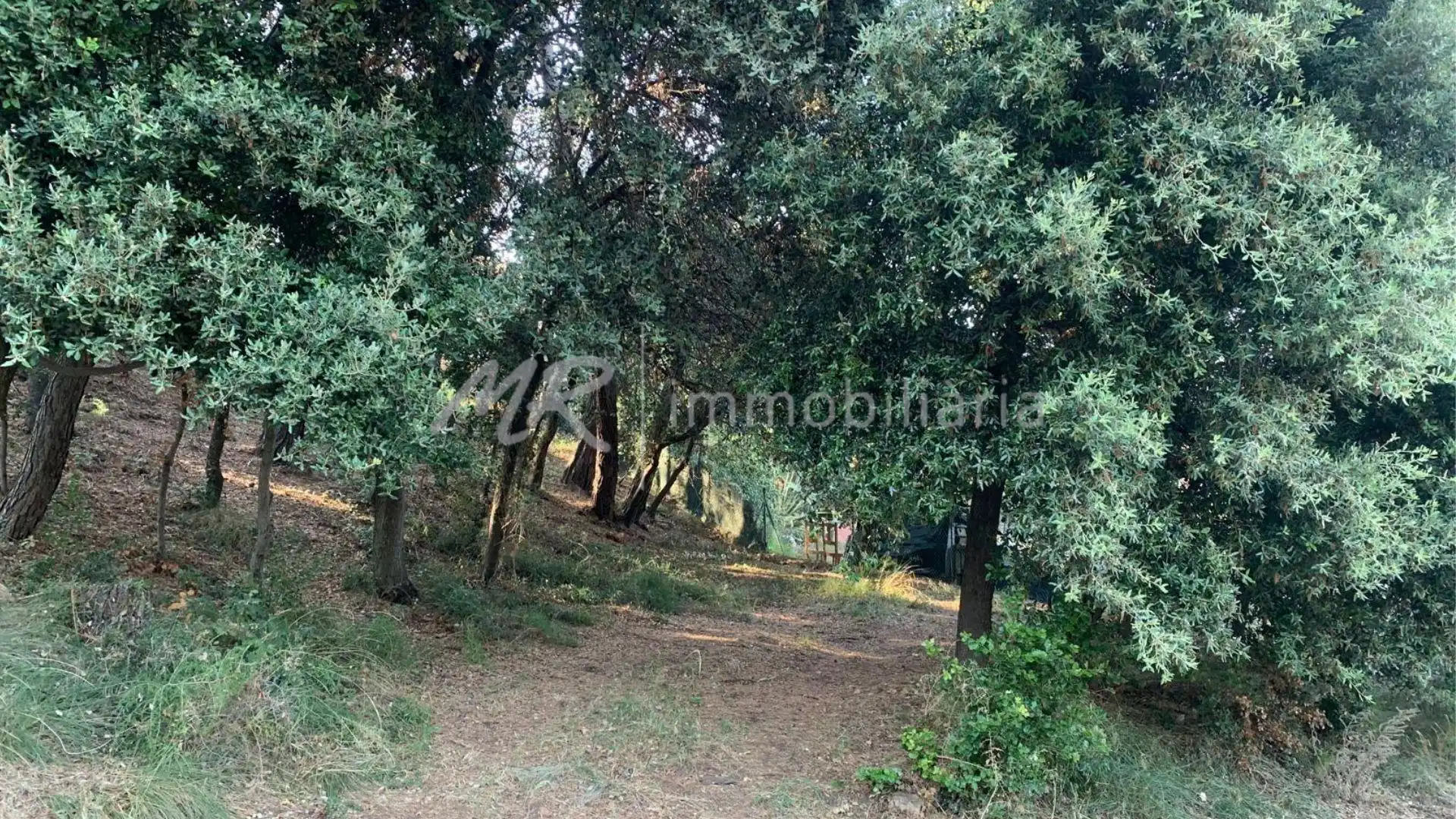 Terreny residencial en venda a Cànoves I Samalús, imagen 3