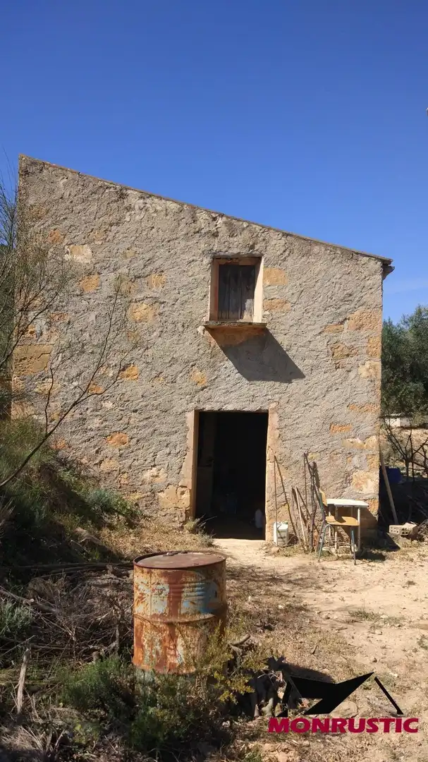 Terrain rustique à vendre à Riba-roja d'Ebre, imagen 3