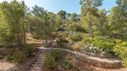 Foto 3 de Finca rústica en venda a Son Roca,  Palma de Mallorca