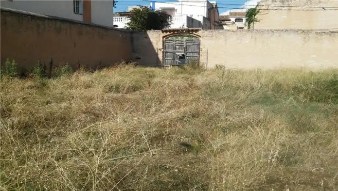 Terreno rustico in vendita a C/ Dr Puig, imagen 6
