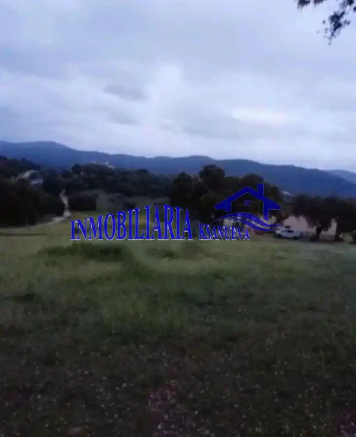 Finca rústica en venta en Cerro Muriano