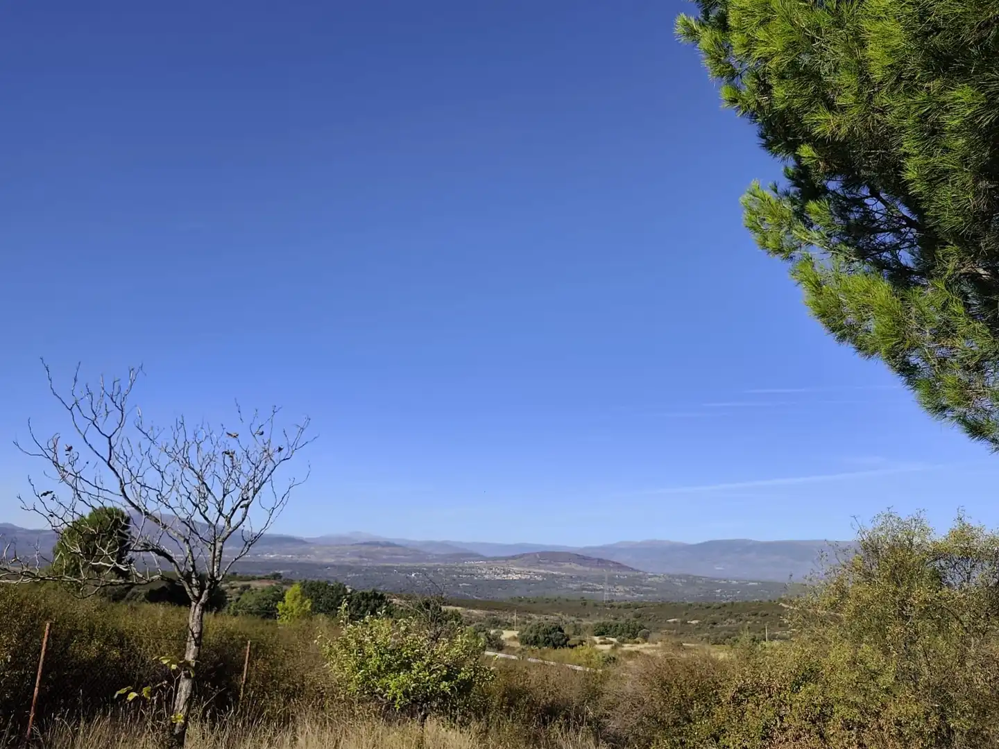 Casa o chalet en venta en Berzosa del Lozoya con Jardín privado y Terraza