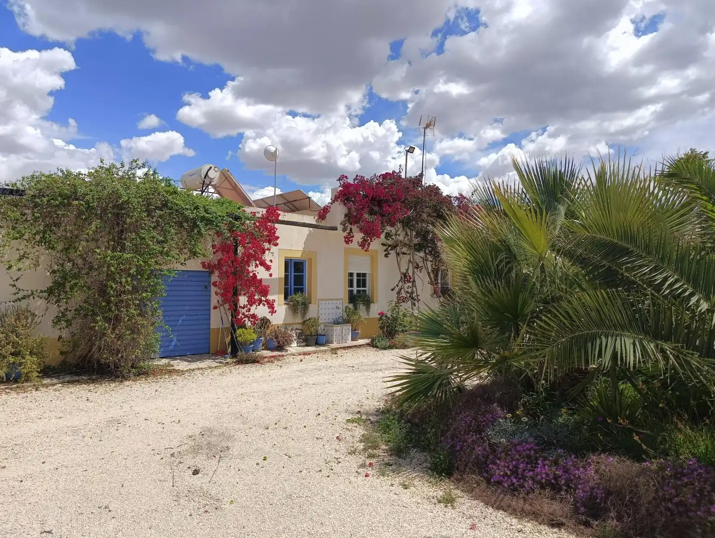 Jardí de Finca rústica en venda en Elche / Elx amb Aire condicionat, Calefacció i Jardí privat