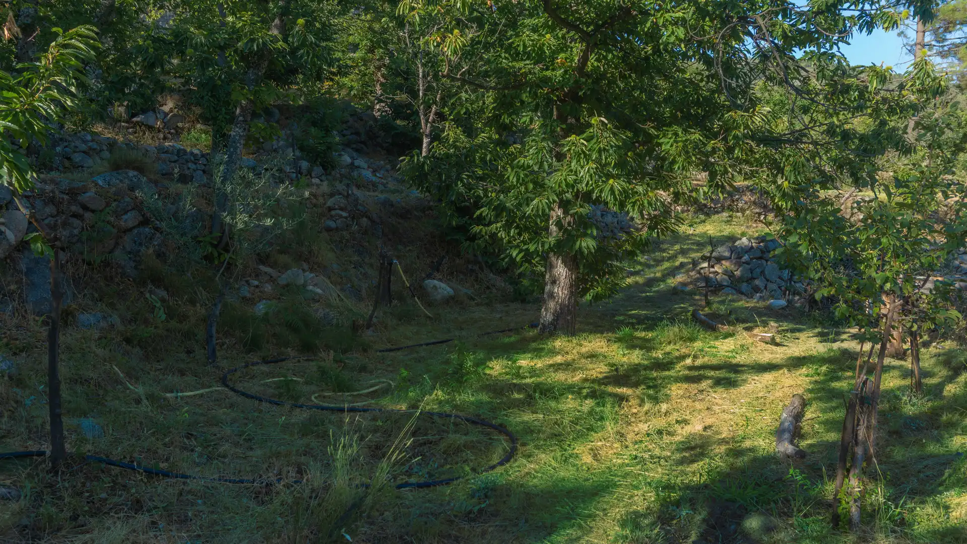 Casa o xalet en venda en El Hornillo 