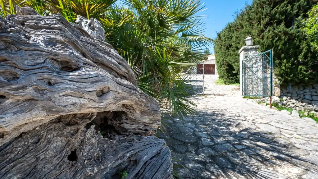 Chalet en venta en Puigpunyent, imagen 3