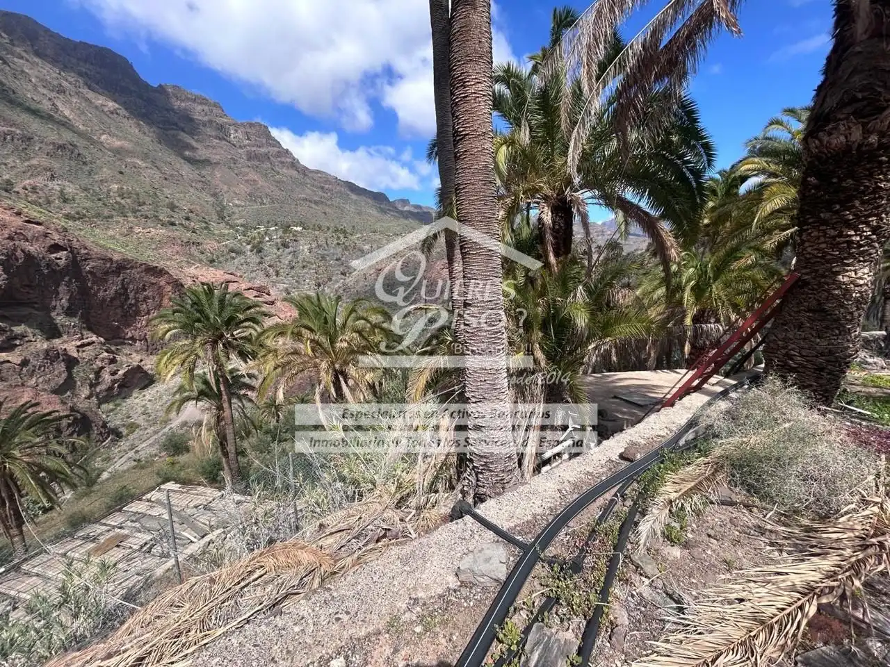 Exterior view of Land for sale in Santa Lucía de Tirajana