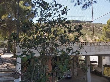 Villa con giardino in vendita a Carretera Puente de la Sierra 126