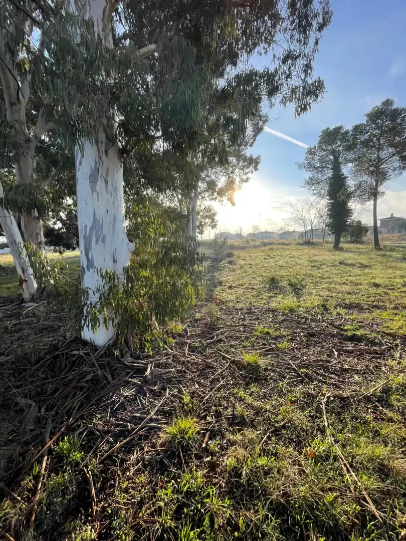 Terreno industrial en venta en Llagostera