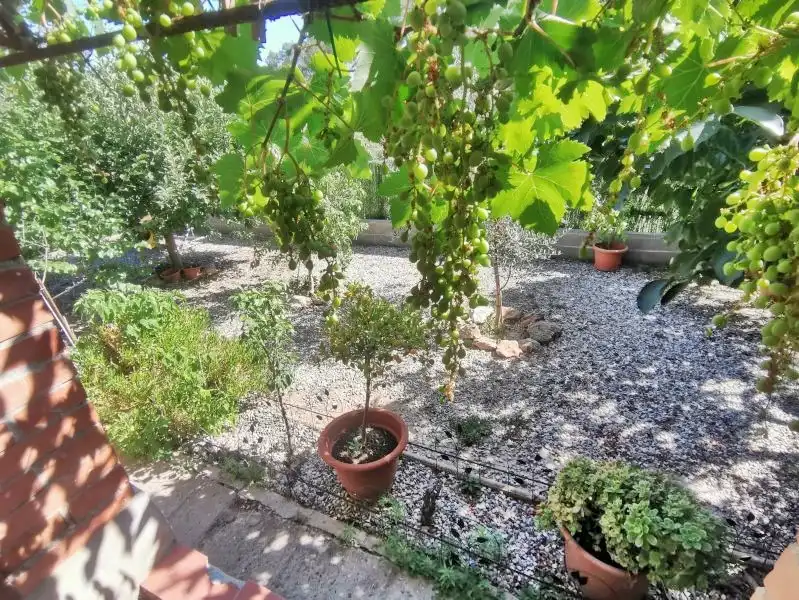 Garden of Houses for sale in Sant Vicenç Dels Horts  with Air Conditioner, Heating and Private garden