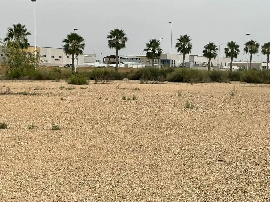 Industrial land for sale in Librilla, imagen 4