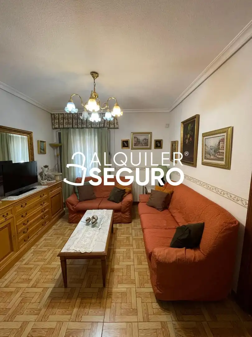 Sala d'estar de Pis de lloguer en Madrid amb Calefacció i Moblat