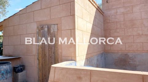 Foto 5 de Finca rústica en venta en Campos poble, Campos