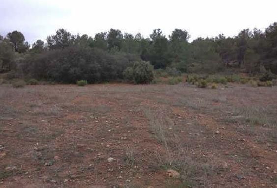 Land for sale in Algímia de Alfara