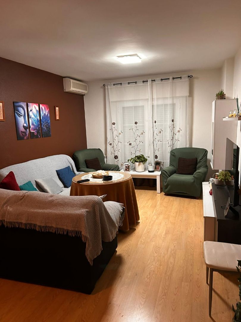 Living room of Duplex for sale in Manzanares  with Furnished