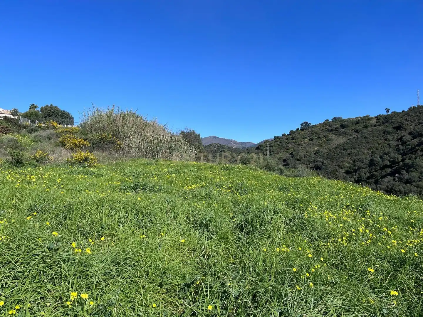 Residential for sale in Estepona