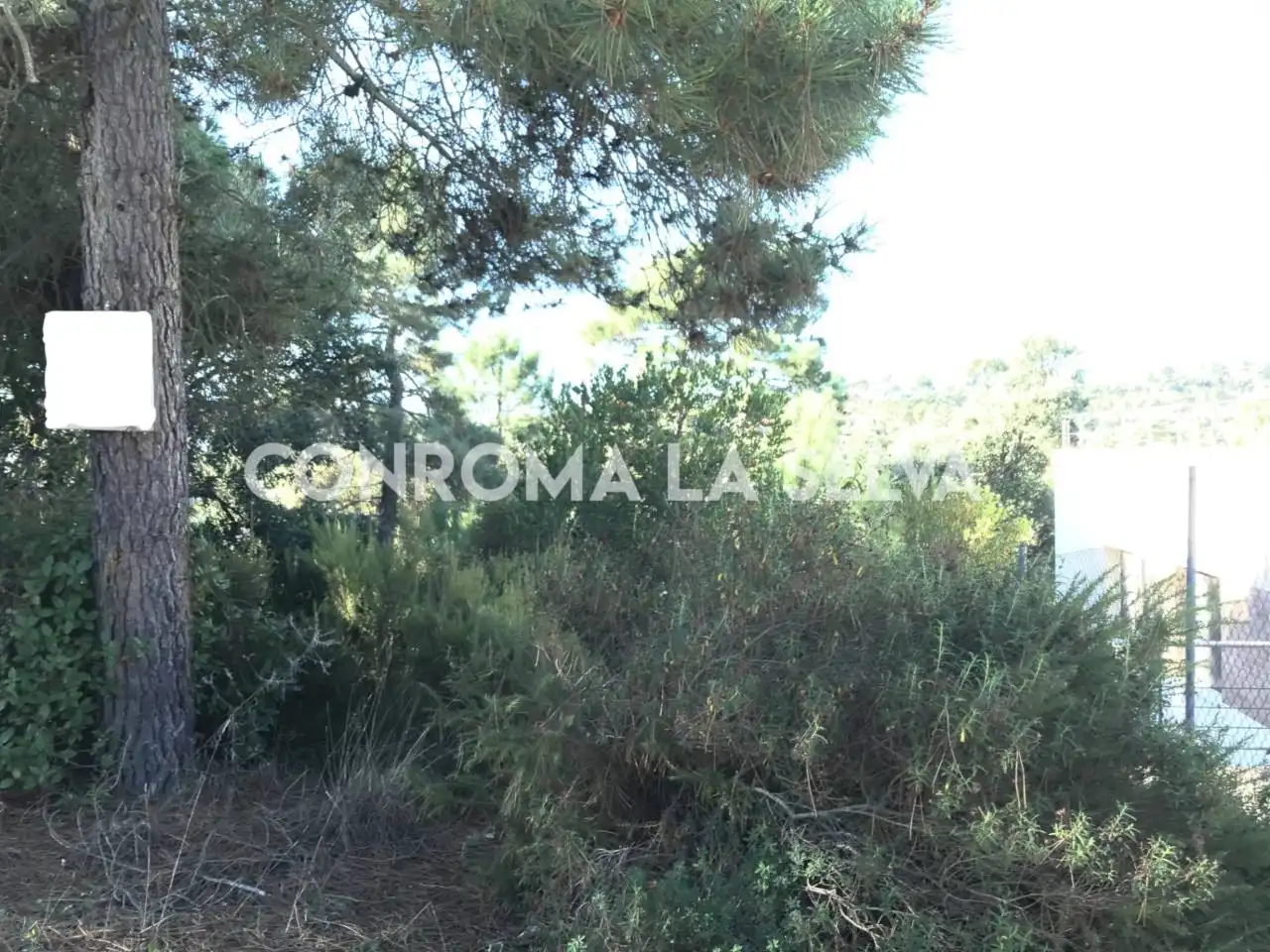 Terreny residencial en venda a Lloret Residencial - Montlloret, imagen 8